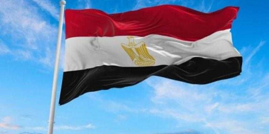 خبير: مصر تهدف لتنويع دوائر السياسة الخارجية والانفتاح على دول العالم