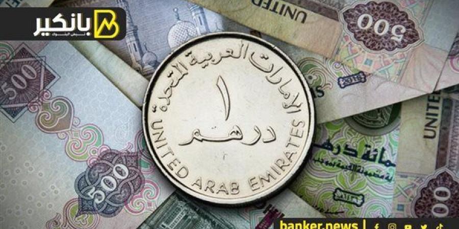 سعر الدرهم الإماراتي أمام الجنيه المصري في تعاملات اليوم الأربعاء 13-11-2024