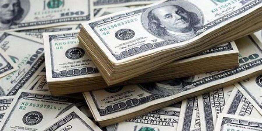 سعر الدولار اليوم الخميس 14-11-2024 في البنك المركزي المصري