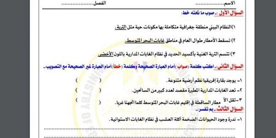 مراجعات نهائية.. أسئلة تقييم الأسبوع التاسع الدراسات الاجتماعية لـ الصف الأول الإعدادي