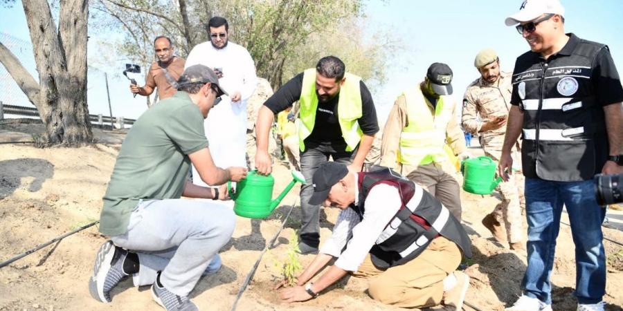 بدء أعمال تشجير الطرق السريعة في محافظة الأحمدي - في المدرج