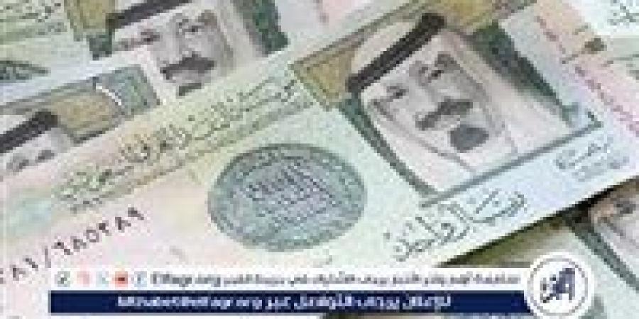 استقرار سعر الريال السعودي أمام الجنيه المصري اليوم السبت 16 نوفمبر 2024