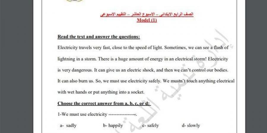 مراجعات نهائية.. أسئلة تقييم الاسبوع العاشر في اللغة الإنجليزية الصف الرابع الابتدائي