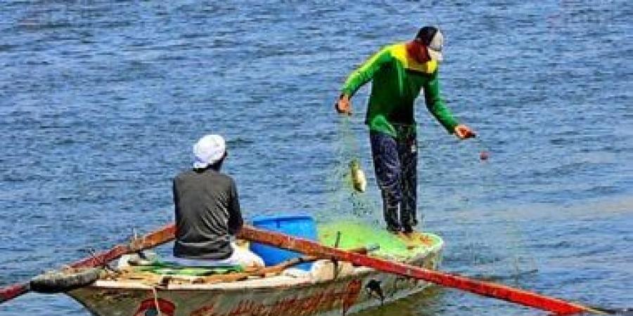 جهاز حماية البحيرات: مصر تحصل على حصة من أسماك أبو سيف بالبحر المتوسط - في المدرج