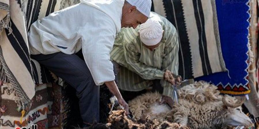 انطلاق النسخة السابعة من مهرجان السجاد المغربى للحفاظ على التراث الثقافى - في المدرج