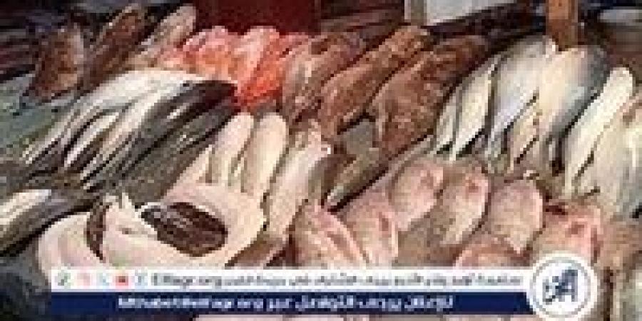 أسعار المأكولات البحرية والجمبري اليوم السبت 23-11 -2024 في محافظة الدقهلية