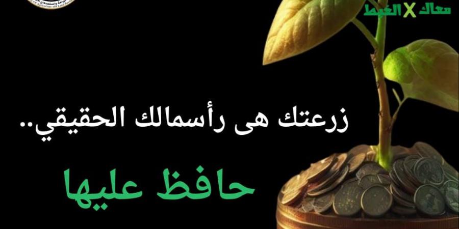 الزراعة تطلق حملة "معاك في الغيط" للتوعية بالحفاظ على الأرض الزراعية