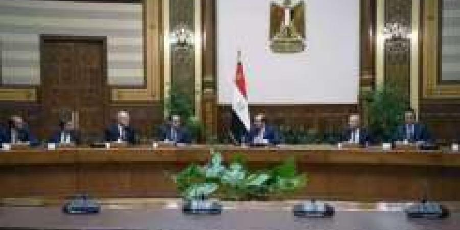 الرئيس السيسي: مصر بذلت جهودًا مكثفة على مدار عشر سنوات لتطوير الصناعة