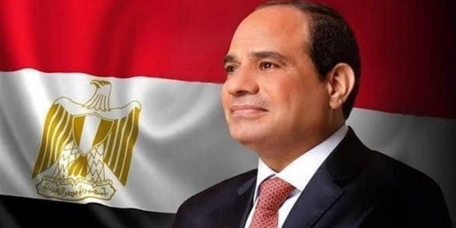 الرئيس السيسي: مصر بذلت جهودًا مكثفة على مدار 10 سنوات لتوفير بيئة ملائمة لتطوير الصناعة