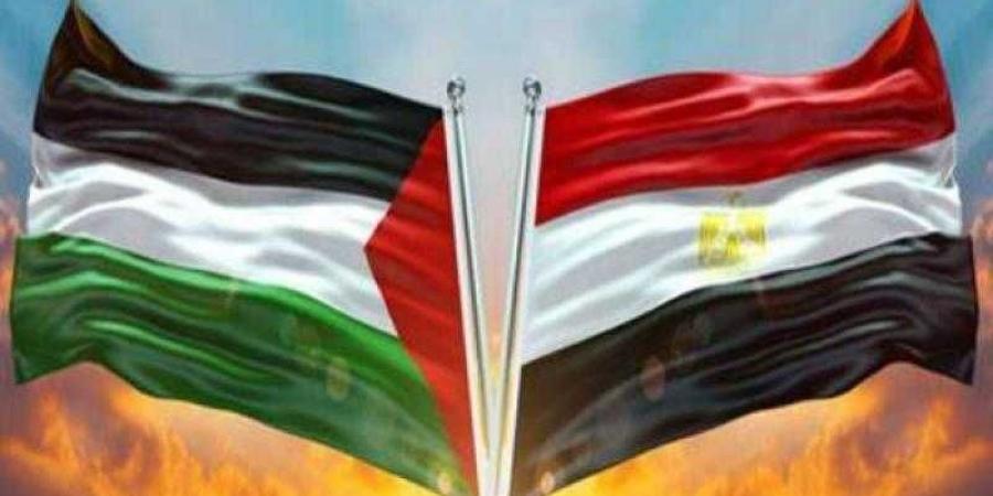 مصر تحيي اليوم الدولي للتضامن مع الشعب الفلسطيني