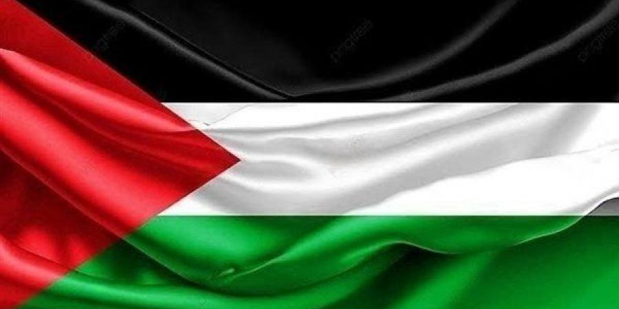 مصر تحيي اليوم الدولي للتضامن مع الشعب الفلسطيني