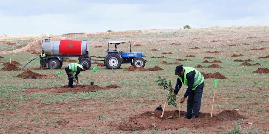 التسويق يقود بعثة أمريكية للمغرب