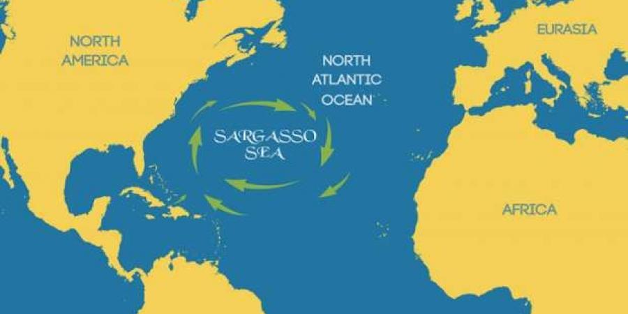 قصة بحر سارجاسو المرعب عديم الشواطئ.. ما علاقته بمثلث برمودا؟