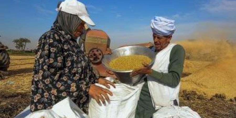 قفزات نوعية فى قطاع الزراعة لتعزيز الأمن الغذائى بالدولة.. اعرف التفاصيل - في المدرج