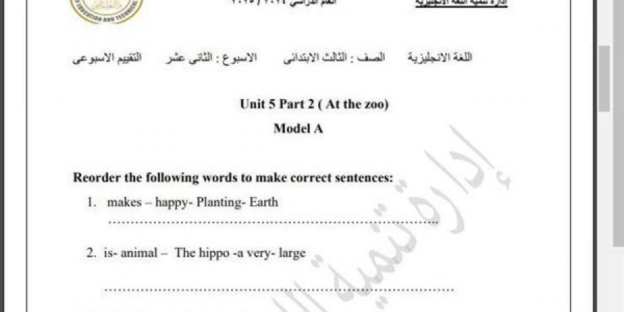 مراجعات نهائية.. أسئلة تقييم الاسبوع الـ 12 في اللغة الإنجليزية الصف الثالث الابتدائي