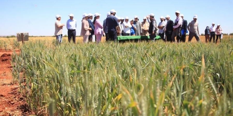 الأكبر في القارة الإفريقية.. "الفلاحة الأمريكية" تنظم أول بعثة إلى المغرب