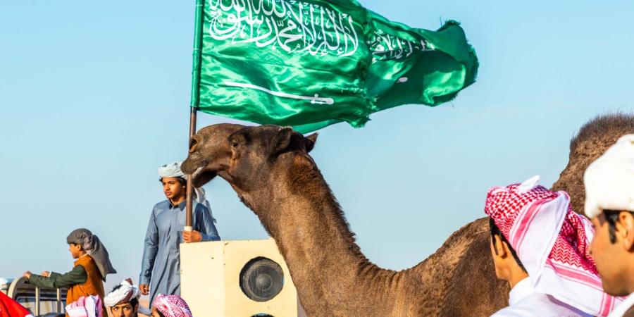 جماهير مهرجان الملك عبد العزيز للإبل تخطف الأنظار - في المدرج