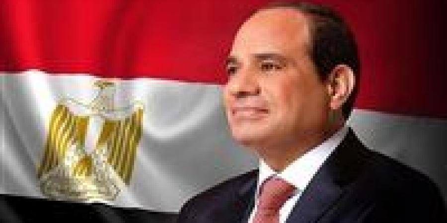 السيسي: نقدر تطلع "شركاء كوبنهاجن" لتوسيع استثماراتها في مصر