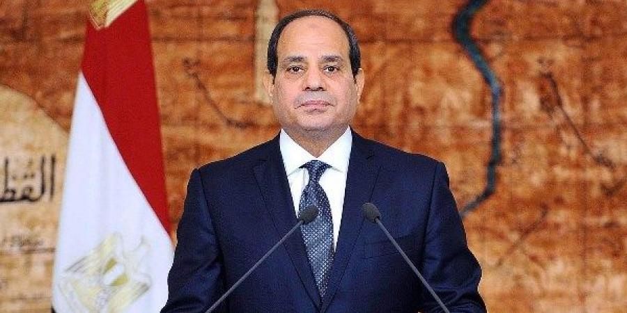 الرئيس السيسي يشيد بمشروعات شركة "ميرسك" لإنتاج وتزويد سفنها بالوقود الأخضر