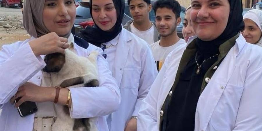 طب بيطري الجامعة المصرية الصينية تطلق حملة لإنقاذ حيوانات الشوارع