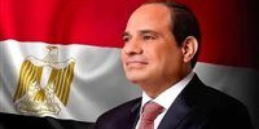 الرئيس السيسي: مصر ترحب بالتعاون مع النرويج في مجال إنتاج الهيدروجين الأخضر