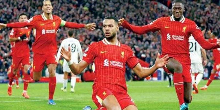 موعد مباراة ليفربول ضد جيرونا في دوري أبطال أوروبا 2024-25 والتشكيل المتوقع