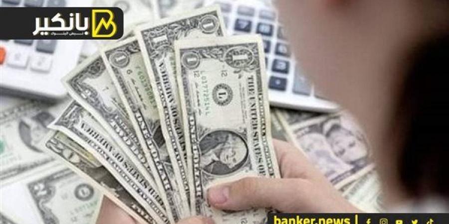 سعر الدولار أمام الجنيه المصري في نهاية تعاملات اليوم الأربعاء 11-12-2024