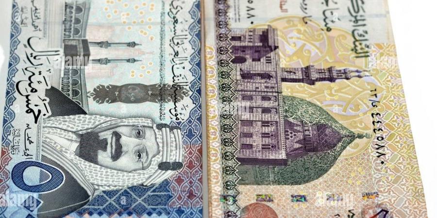 سعر الريال السعودي مقابل الجنية المصري.. "تحديث لحظي"