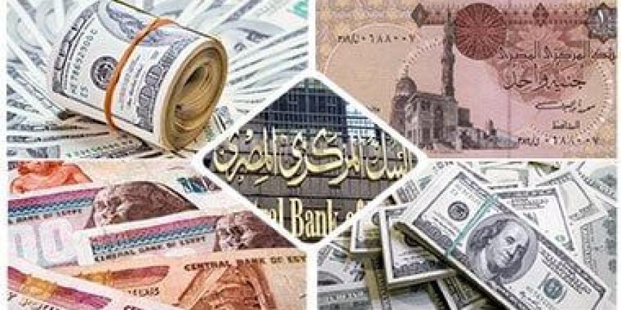 سعر العملات منتصف تعاملات اليوم الأربعاء 11- 12- 2024 أمام الجنيه المصرى - في المدرج