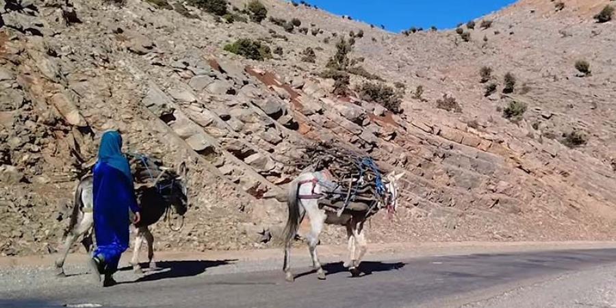 سكان الجبال يواجهون البرد