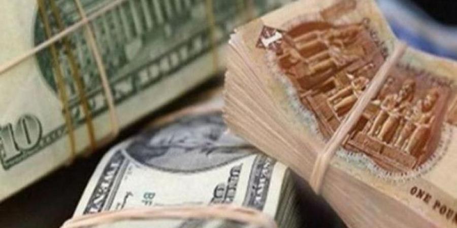 استقرار سعر الدولار في مصر بافتتاح تعاملات اليوم