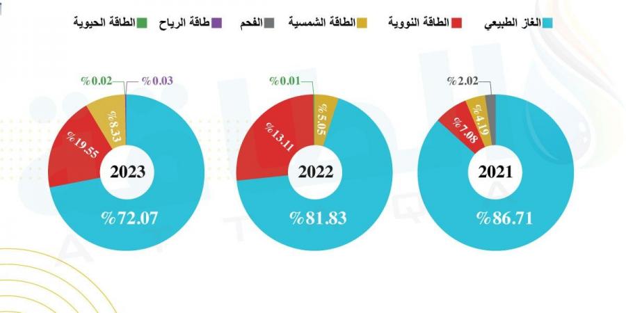 الطاقة الحيوية في الدول العربية تشهد خططًا طموحة بقيادة عمان ومصر