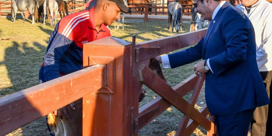 بالصور.. تفاصيل جولة الرئيس السيسي في الأكاديمية العسكرية بالعاصمة الإدارية الجديدة