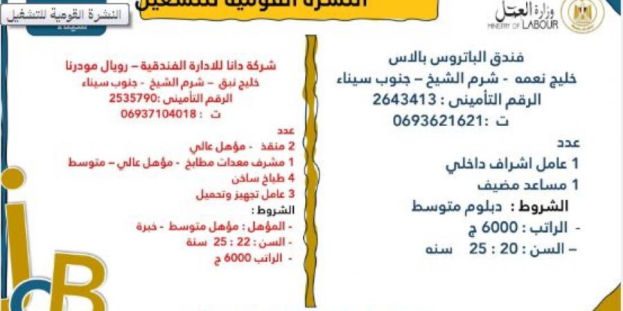 عاجل| 7878 فرصة عمل جديدة في 101 شركة خاصة.. اعرف التفاصيل