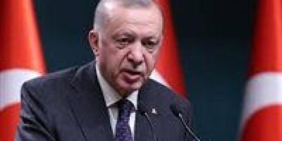 ‏أردوغان في اتصال مع ماكرون يؤكد على أهمية الحفاظ على وحدة أراضي سوريا واستقلالها