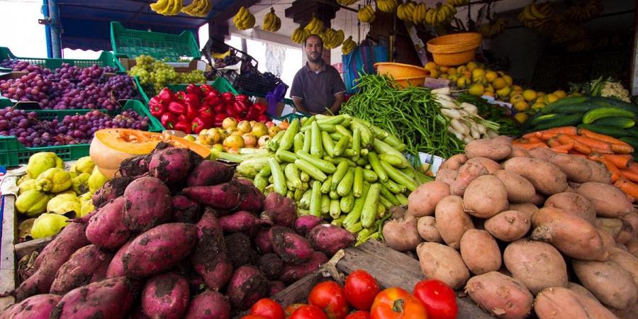 تقرير: انخفاض أسعار الخضر والفواكه والسمك بالمغرب