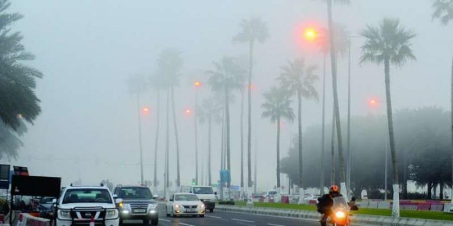 برد ومطر.. الأرصاد تكشف تفاصيل حالة الطقس اليوم الأحد 22 ديسمبر بهذه المحافظات