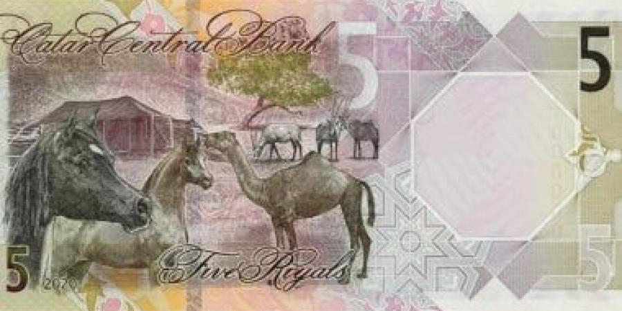 سعر الريال القطرى اليوم الثلاثاء 24-12-2024  فى البنوك - في المدرج