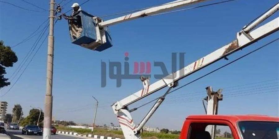 صيانة أعمدة الإنارة وإزالة الشدات المخالفة في مركز ومدينة زفتى بالغربية