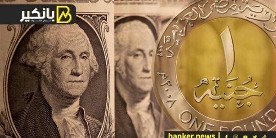 سعر الدولار بعد قرار البنك المركزي المصري تثبيت سعر الفائدة على الجنيه