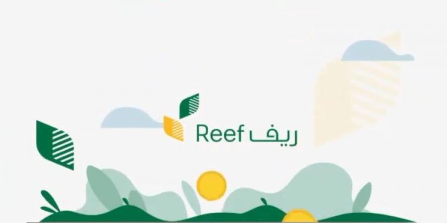 كيف أعرف أني مقبول في الريف؟ كيفية التأكد من قبول طلبك في برنامج ريف وشروط الاستحقاق وطريقة الاستعلام