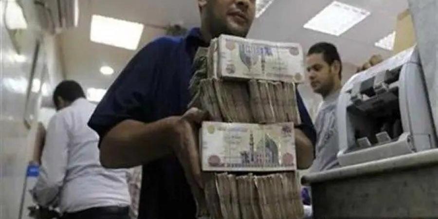 سعر فائدة شهادة البنك الأهلي المصري الادخار البلاتينية لمدة سنة