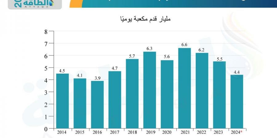 قطاع الطاقة في مصر 2024.. جهود لحل أزمة الغاز وصفقات ضخمة للمصادر المتجددة