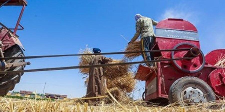 فقد زراعه على دراسة القش.. إصابة مؤلمة لعامل بالدقهلية