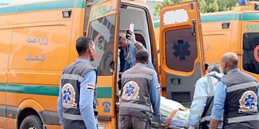 تفاصيل إصابة ربة منزل في نجع حمادي