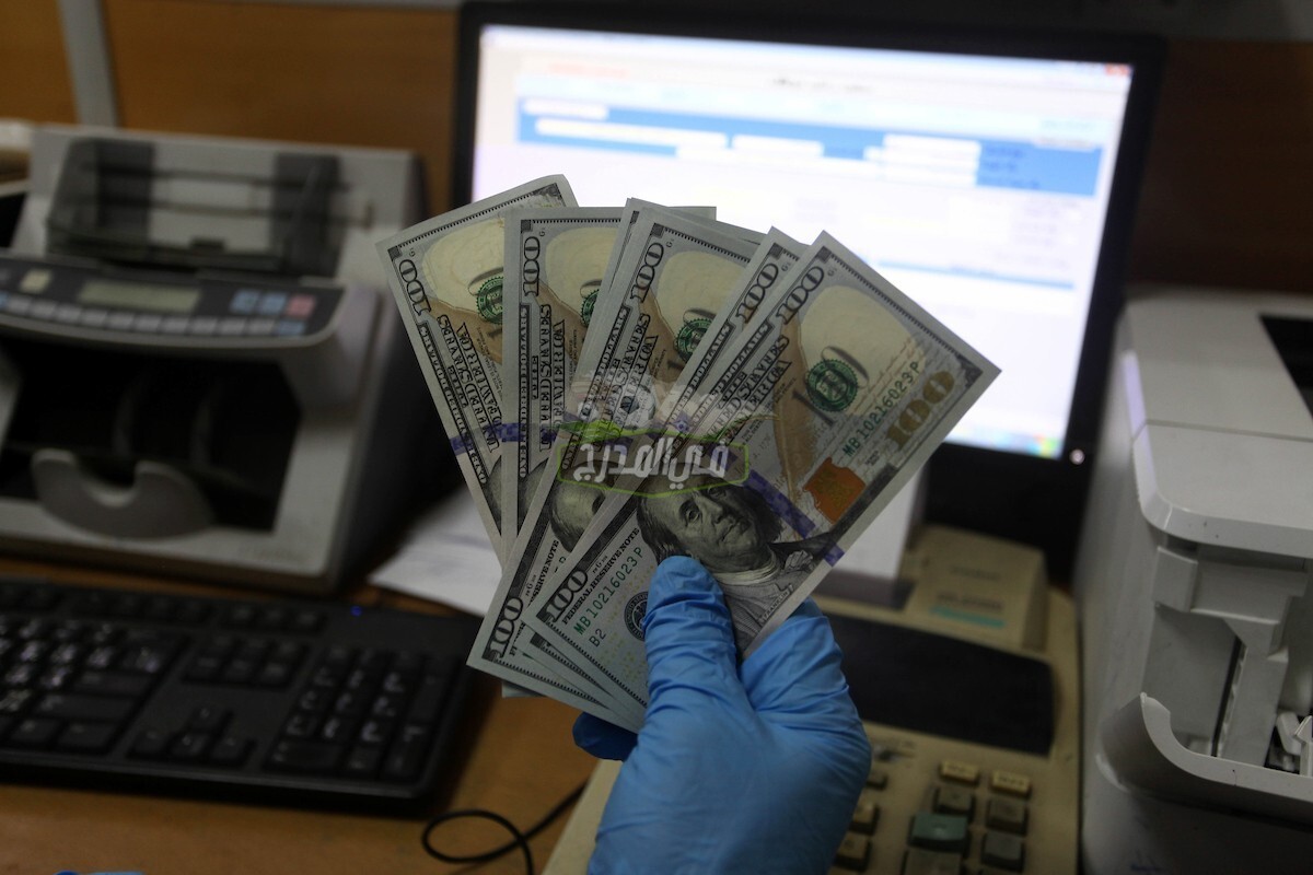 رابط فحص المنحة القطرية 100 دولار في غزة عبر موقع query.gov.ps