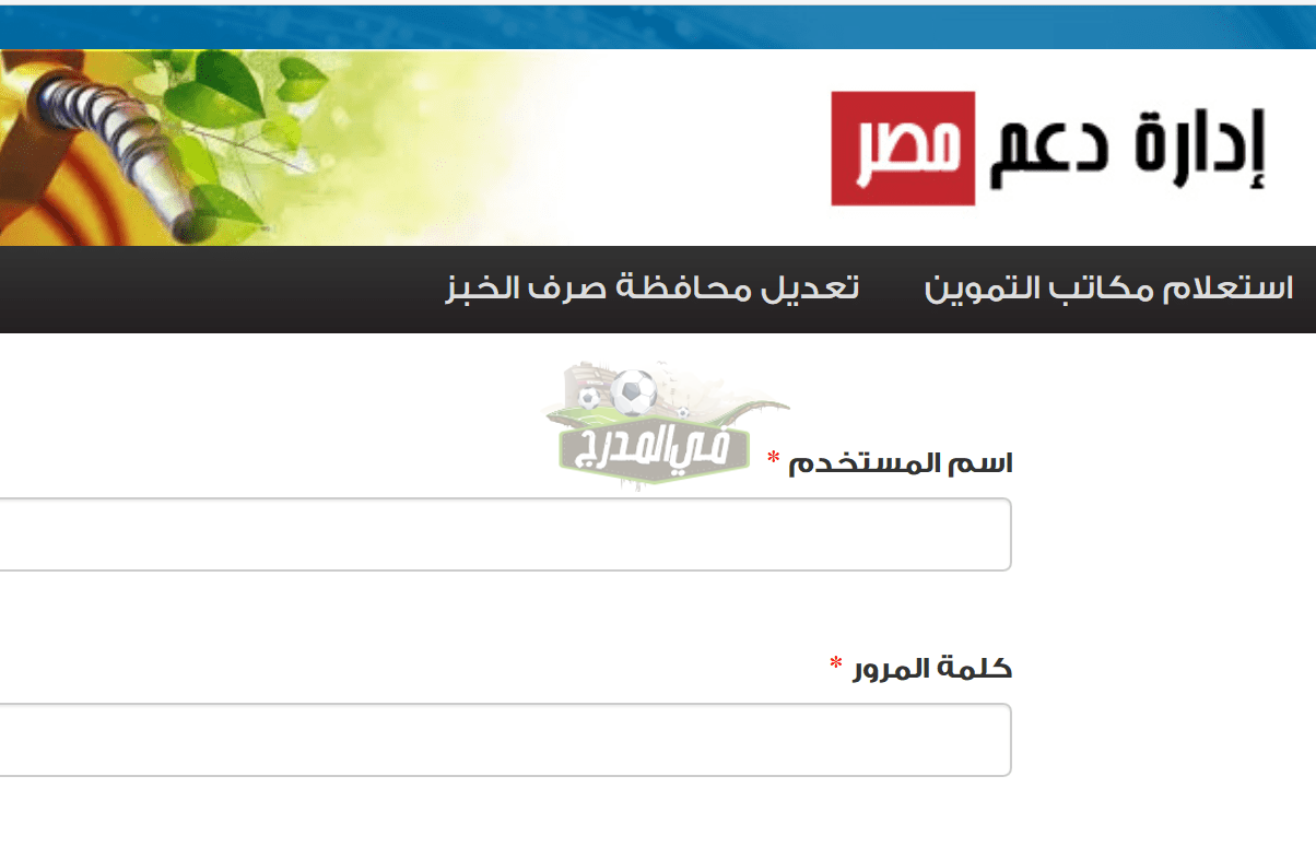 إضافة المواليد الجدد وتحديث بيانات بطاقات التموين 2021 عبر موقع دعم مصر