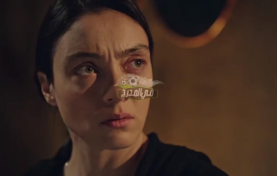 مسلسل شقة الأبرياء الحلقة 24 على قناة TRT التركية وعودة حبيب صفية القديم