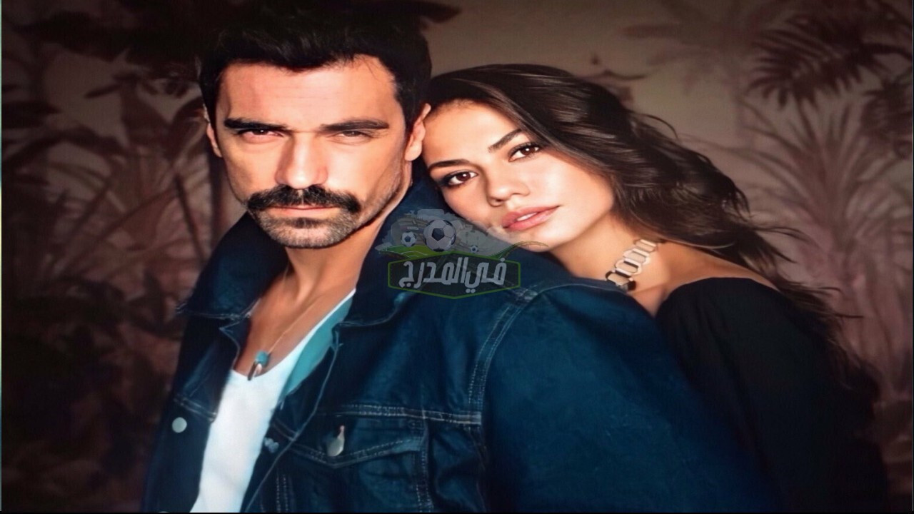 مسلسل منزلي الحلقة 29 على قناة إي تي في التركية وأحداث رومانسية مشوقة تعيشها زينب