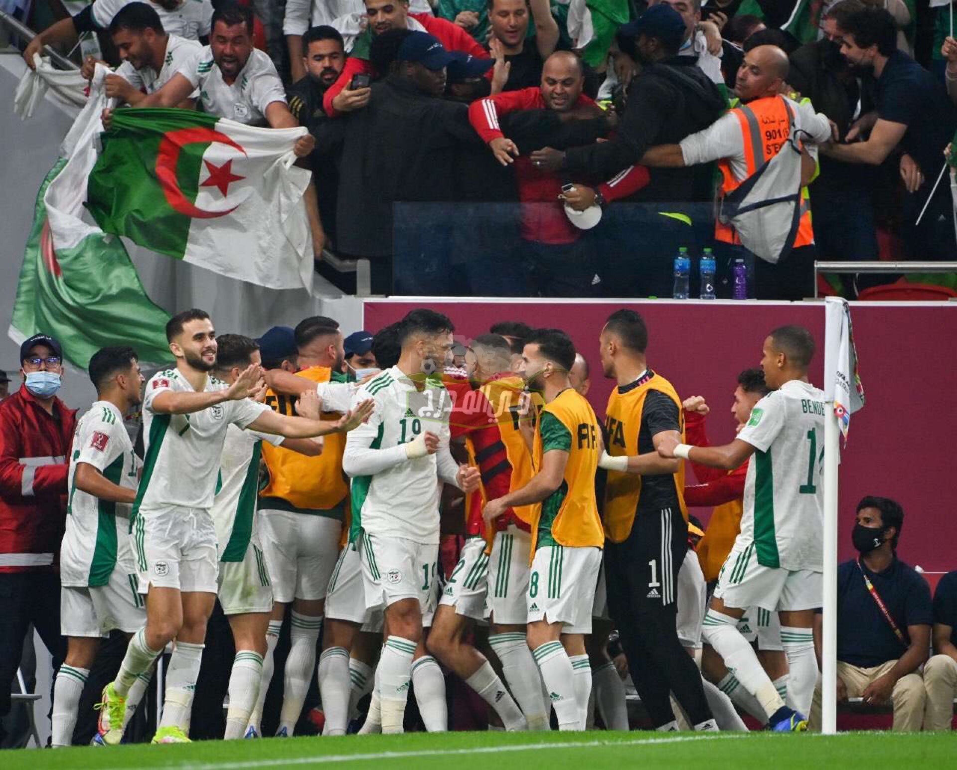 ملخص ونتيجة مباراة الجزائر ضد قطر في نصف نهائي كأس العرب 2021